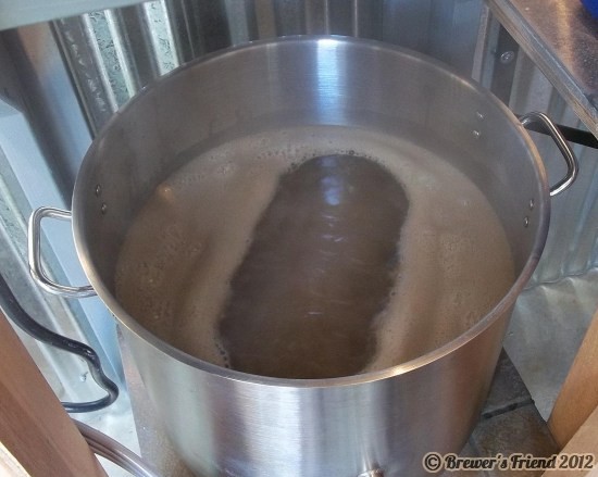 electric brewing boil