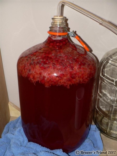 fermentor