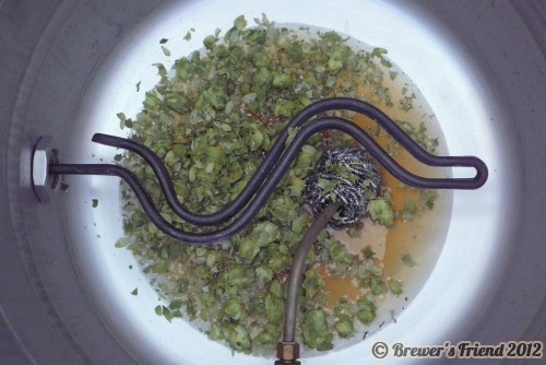 first wort hopping