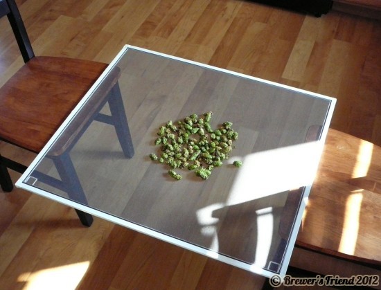 drying hops screen