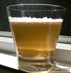 lager beer
