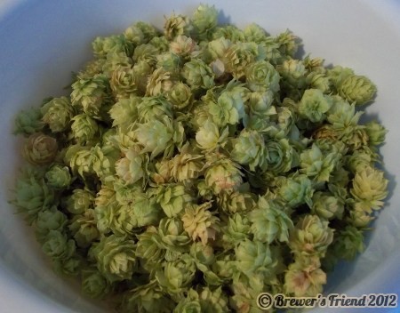 dried fresh hops