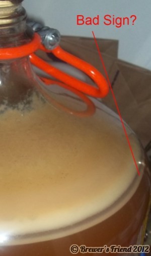 infected home brew
