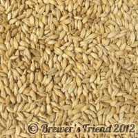 pale malt home brewing