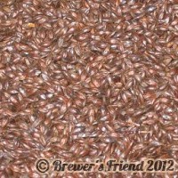 roasted highly kilned malt home brewing