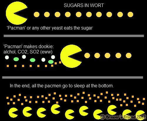 pacman yeast