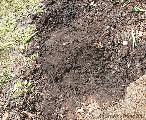 holes for hops planting