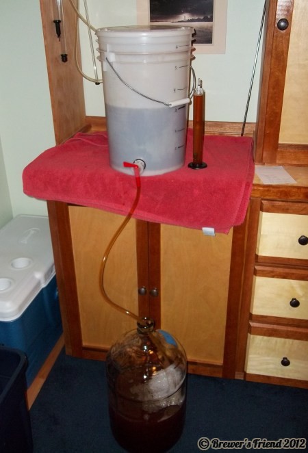 beer smple
