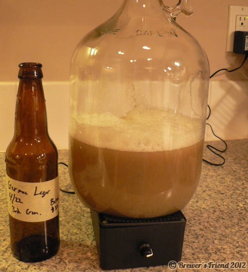 yeast stir plate home brewing