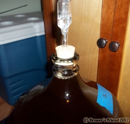 racked to secondary fermentor
