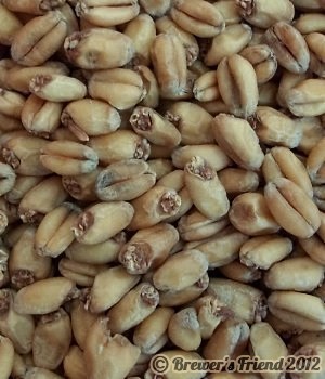 wheat malt