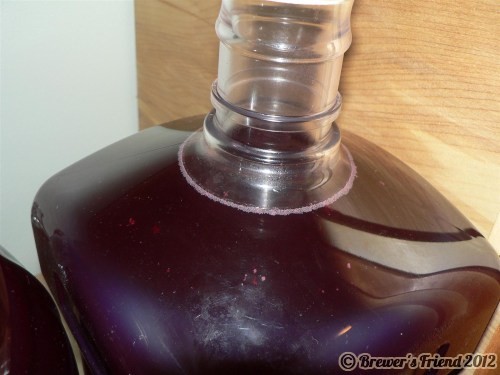 malolactic fermentation