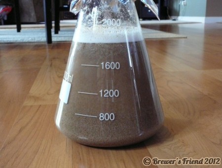 yeast washing home brewing