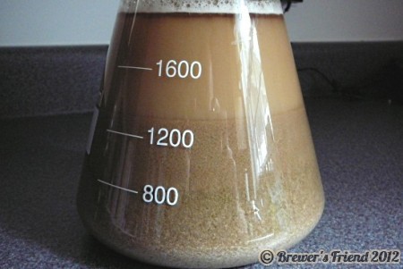 yeast washing home brewing