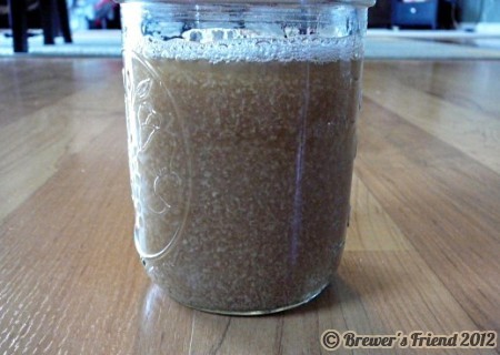 yeast washing home brewing