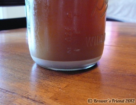 yeast washing home brewing