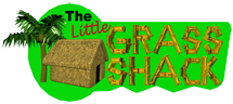 Little Grass Shack