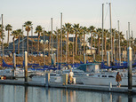 South Bay Fish & Grill