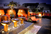 Stingaree