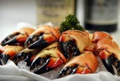 Truluck's