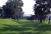 Sail Ho Golf Club Bar & Grill