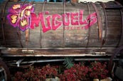 Miguel's Cocina Mexican Restaurant