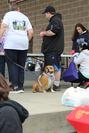 Img 4977