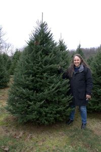 Tree2011