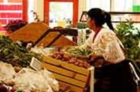 Creative Financing for Local Foods