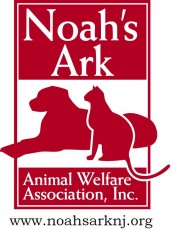 Noahs Ark Animal Welfare Association                                  