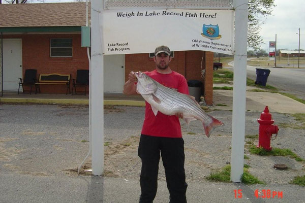 Kevin Deal of Tulsa holds a state record hybrid or a Canton Lake record striper