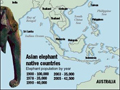 Asia's Elephant Population