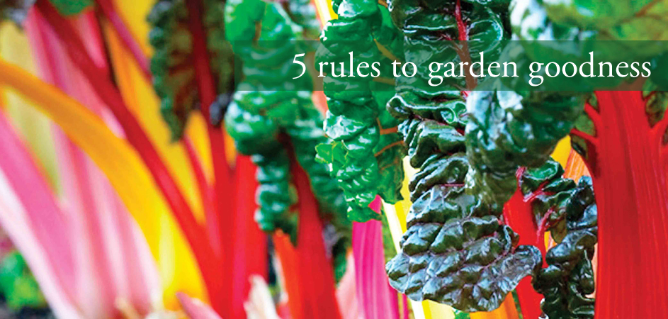 http://s3.amazonaws.com/content.newsok.com/newsok/images/homesmag/mar2011/GARDENING_CAROUSEL.jpg