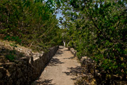 image 4 alt