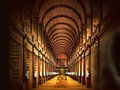The Paranormal Librarian