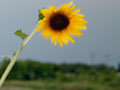 Superfund: Toxic Oklahoma