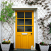 Homes and real estate