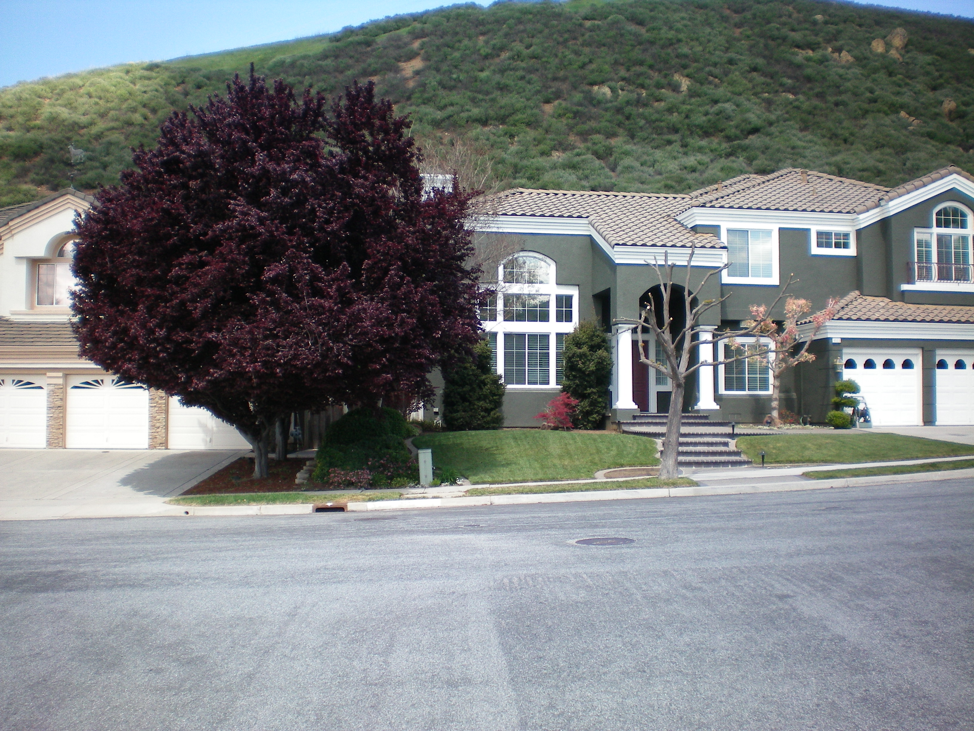 Deer_hollow_picture_3
