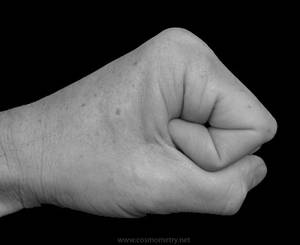 Hand in Fist
