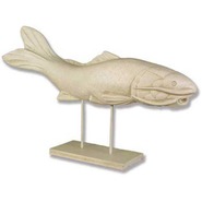 Fish - Catfish - Midsize Swimming | Fiberglass Animal