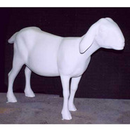 Goat | Fiberglass Animal