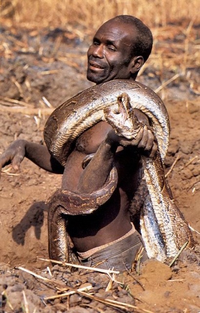 image00828