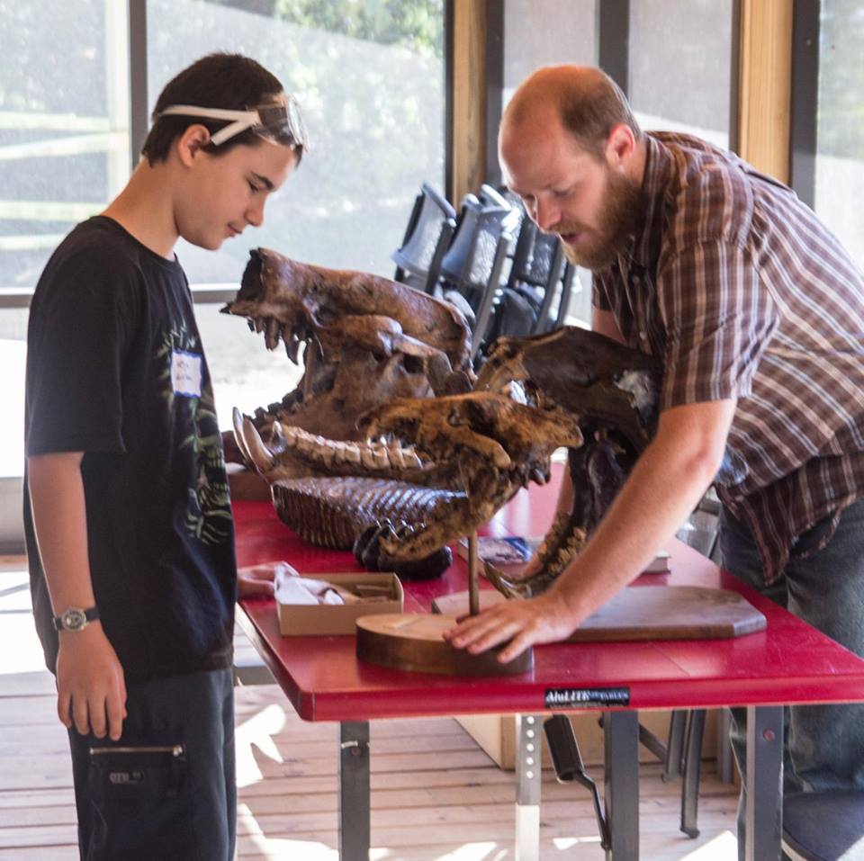 Dire wolf skull being discussed