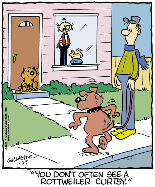 Heathcliff by 01/29/2013
