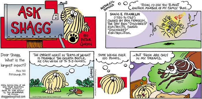 Ask Shagg by 01/27/2013