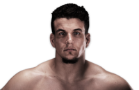 Frank_mir_500x325_ufc