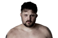 Roy_nelson_500x325_ufc
