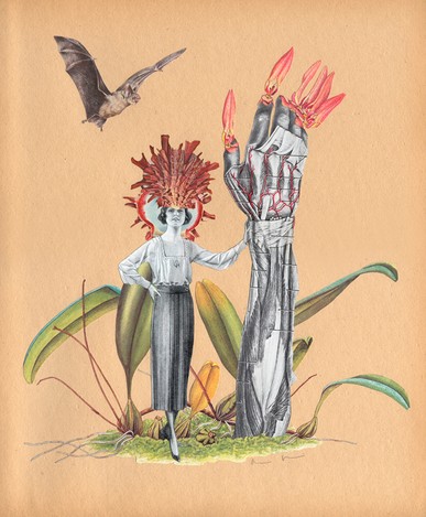 Alexis Mackenzie collages