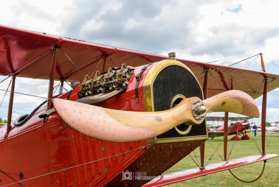 2016 - Wings and Wheels Extravaganza