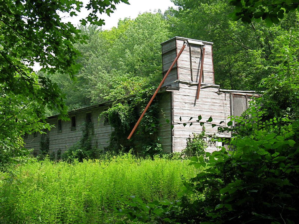 Part 2 of 2 (297 Pumpkin Hill Road, Ashford (Eastern Uplands